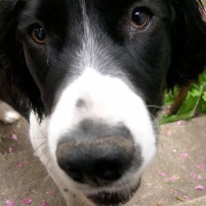 Meet your Posher, Mary